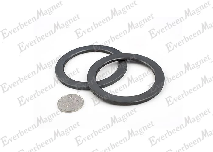 Ceramic Magnet Ring